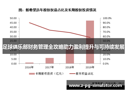足球俱乐部财务管理全攻略助力盈利提升与可持续发展